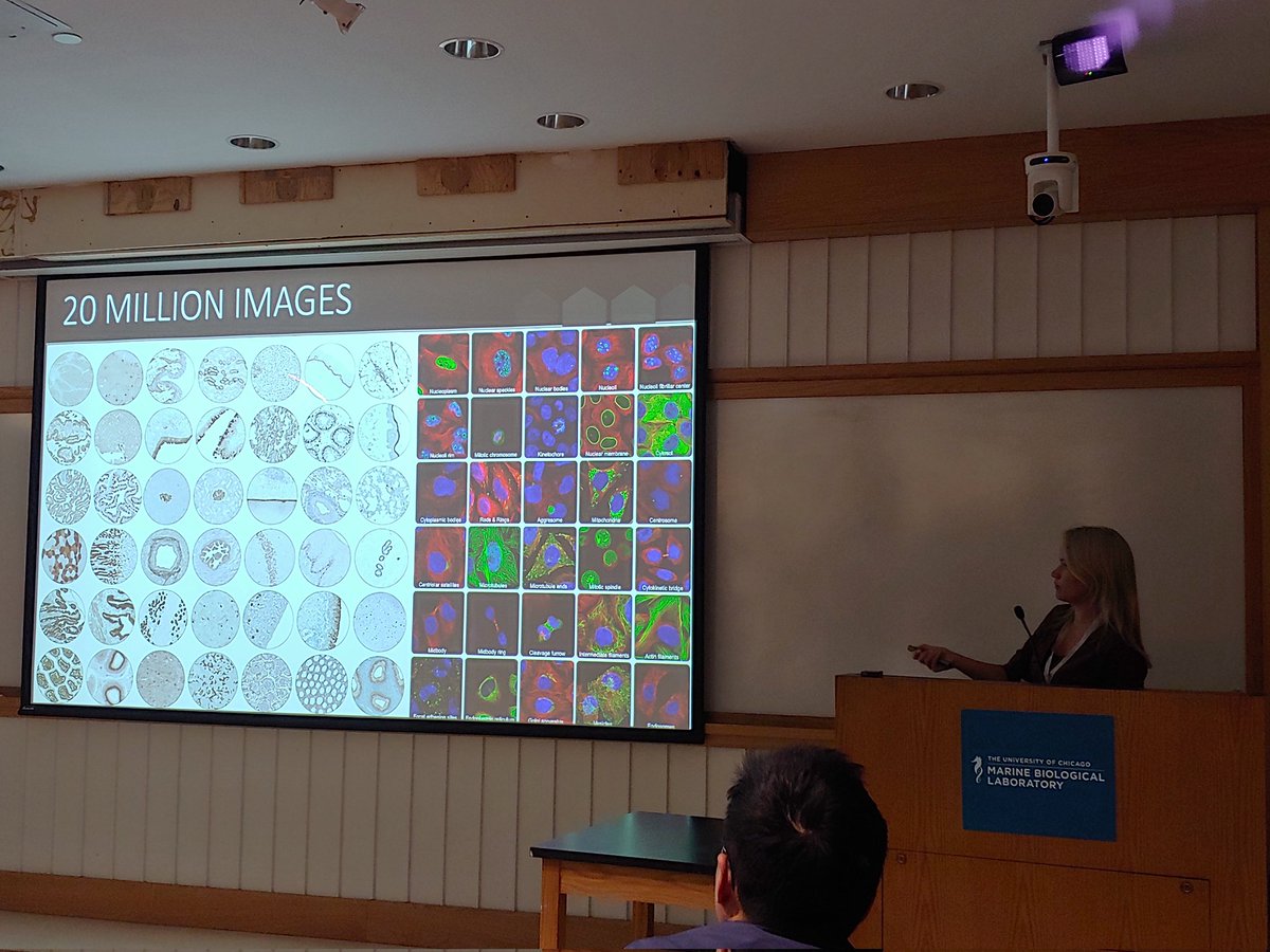 Alison North (@alisonjnorth) on Twitter photo And now we finish the #OMIBS2023 course <a href="/MBLScience/">Marine Biological Laboratory (MBL)</a> with the Horizons Lecture where the fabulous Emma Lundberg is teaching us about the Human Protein Atlas. 20 million images? Now that's a challenge for data management!! And now we finish the #OMIBS2023 course <a href="/MBLScience/">Marine Biological Laboratory (MBL)</a> with the Horizons Lecture where the fabulous Emma Lundberg is teaching us about the Human Protein Atlas. 20 million images? Now that's a challenge for data management!!