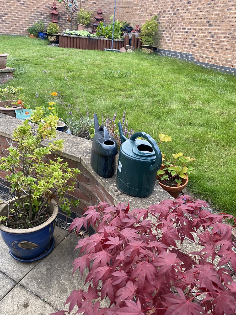 8 laps of dead lifts and weighted walks to water the garden #AHPsActive #WeActiveChallenge