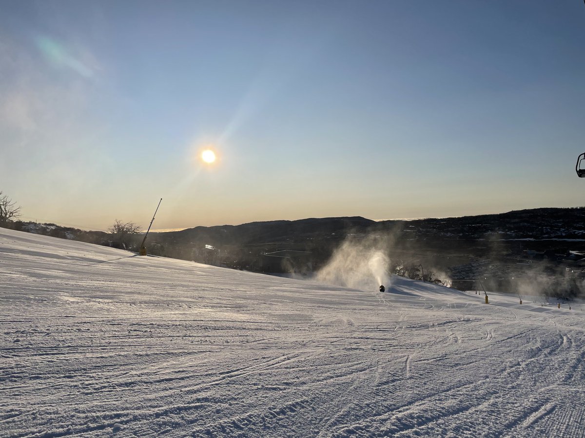 Alex Butt tweet media