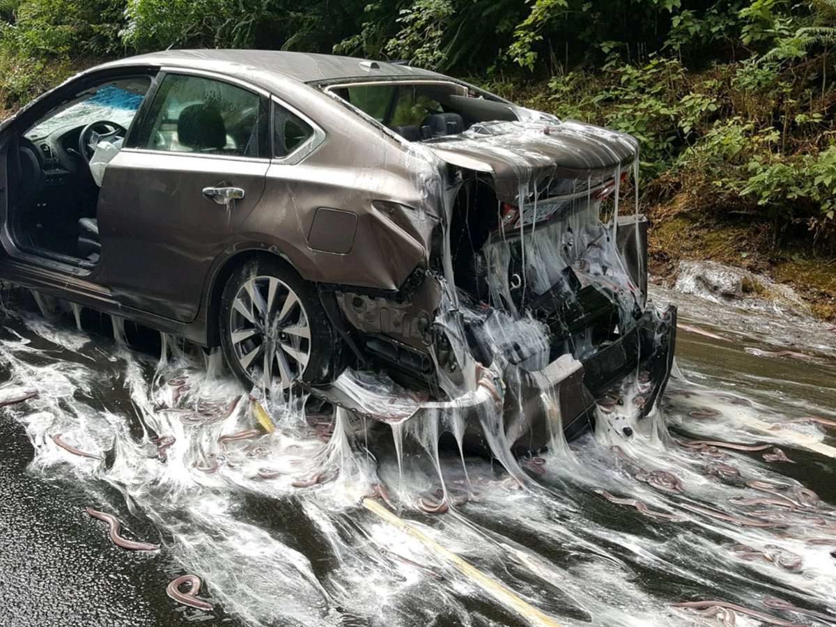 optimus prime when im done w/ him ......