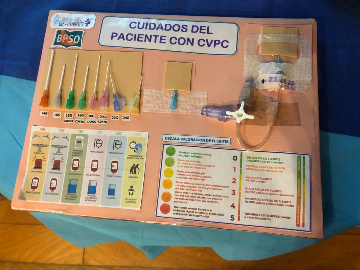 Angélica Gutiérrez tweet media