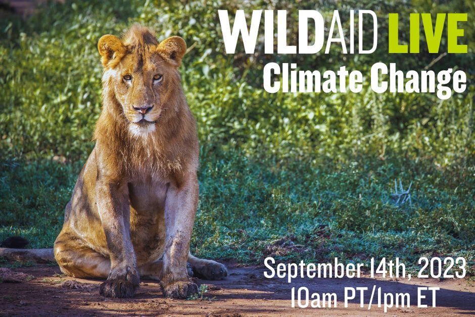 WildAid's tweet photo. Join us 9/14 at 10am PT for a convo on #TheEnvironmentExcuse, our campaign to combat climate change & protect wildlife.
Our climate director @m_Grager & media consultant Stephanie Hill will share how this simple initiative can create big impact. Register: https://t.co/3v9ptswsU1 https://t.co/s39D8GwItT