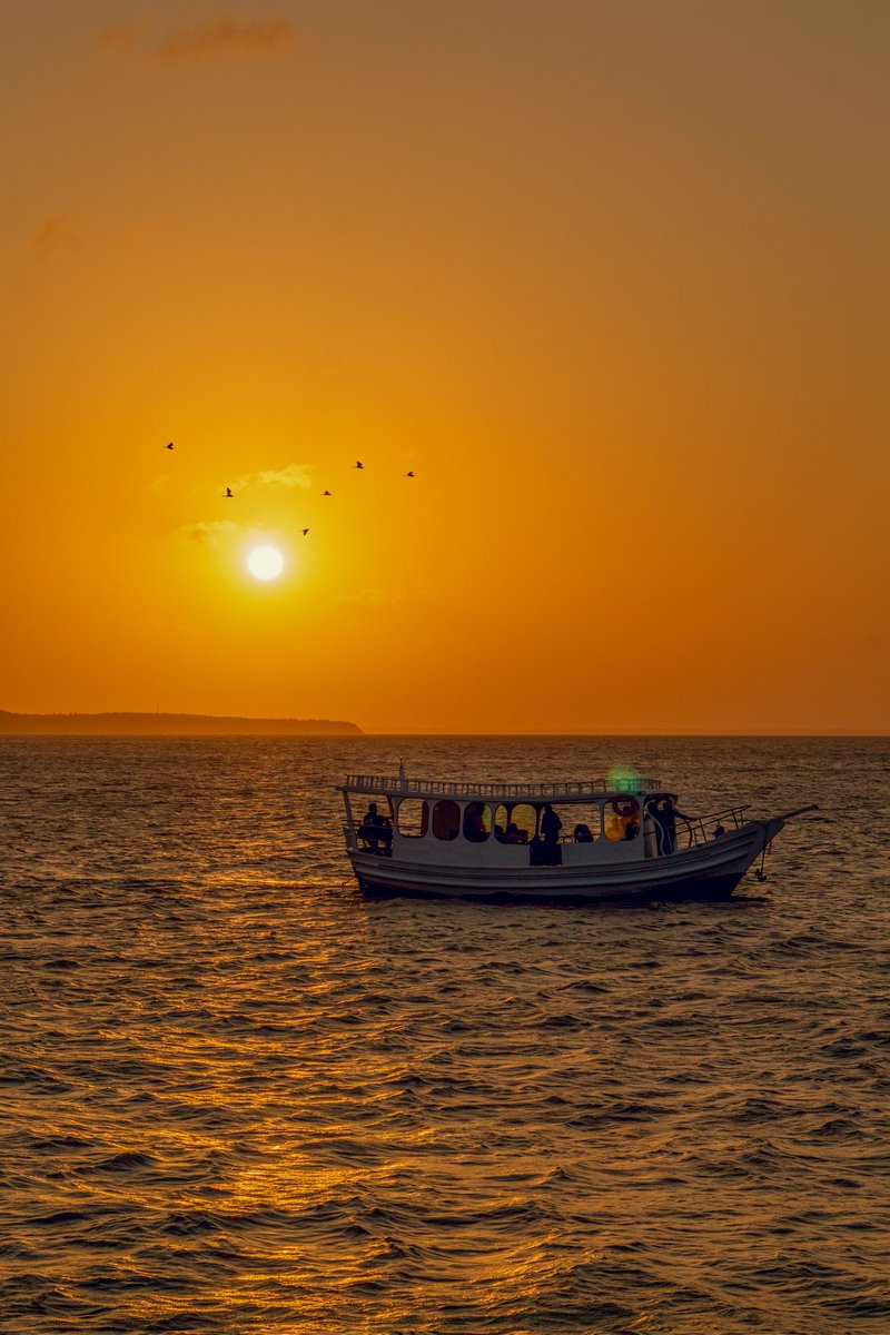caos1nfinito's tweet photo. "[...]Que a saudade dói como um barco 
Que aos poucos descreve um arco 
E evita atracar no cais."

São Luís, MA, Brasil. 🧡 https://t.co/aHyKSrX6rs