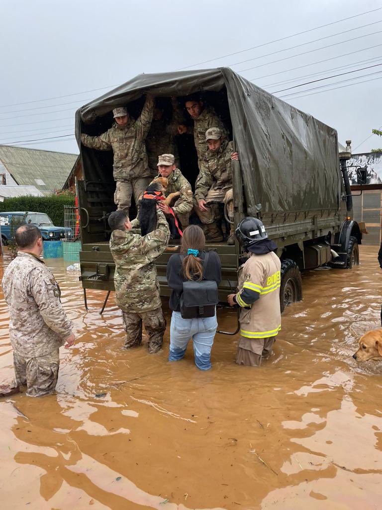 Ejercito_Chile's tweet photo. En #Curepto, integrantes del Ejército de Chile colaboraron en la evacuación de 50 personas de las localidades de Calpún, Paraguay y El Rodeo, quienes fueron afectados por el #SistemaFrontal que azota a la zona. #RegiónDelMaule #EjércitoEnAcción #EjércitoTeCuida https://t.co/gbByqQWGN5