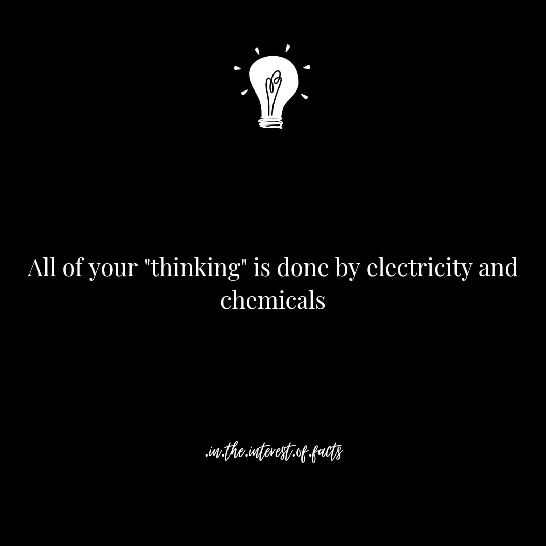 _Facts_Fun's tweet photo. True or False?
@FUNFACTS
.
#fun&amp;facts #interestingfacts #justfacts https://t.co/cnbaaV9zZV