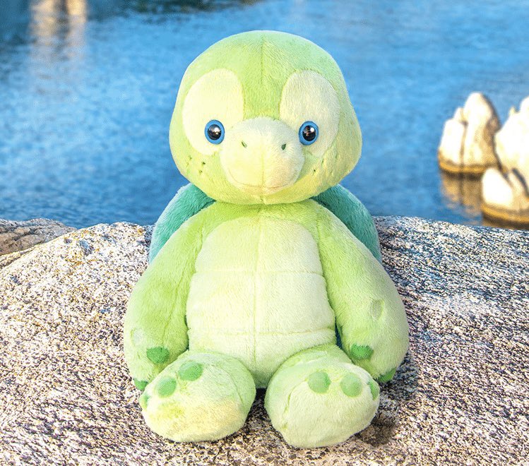 8月27日はオル・メルの誕生日🐢