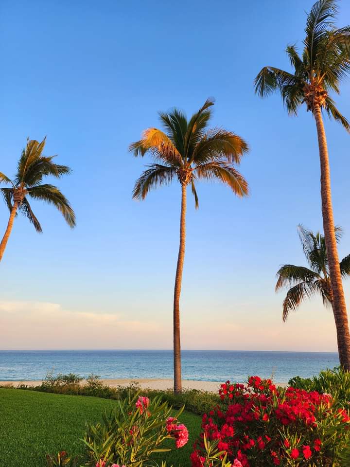 If paradise had a postcard, this would be it. 🌴
.
✈️💺🎟️🙋‍♂️📲🍽️🧳🏨
#ZoëtryCasadelMar #ZoetryResorts #Paradise #LosCabos #Travel