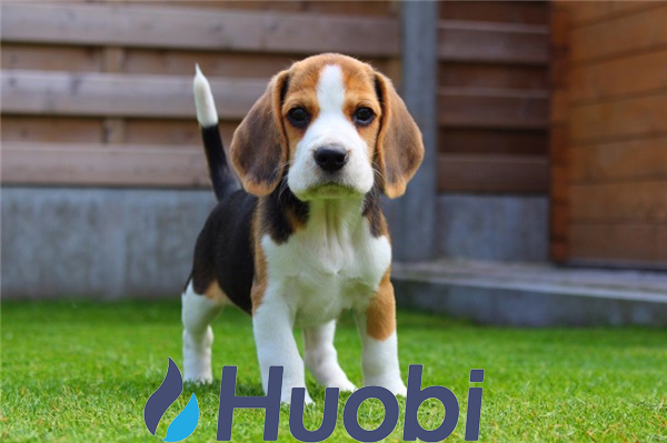 Linh97178634's tweet photo. #HuobiDog
@HairKarry
@TesseymanSusana
@RhiannonStratt2
@LarcumDortha https://t.co/DObyUyNuKA