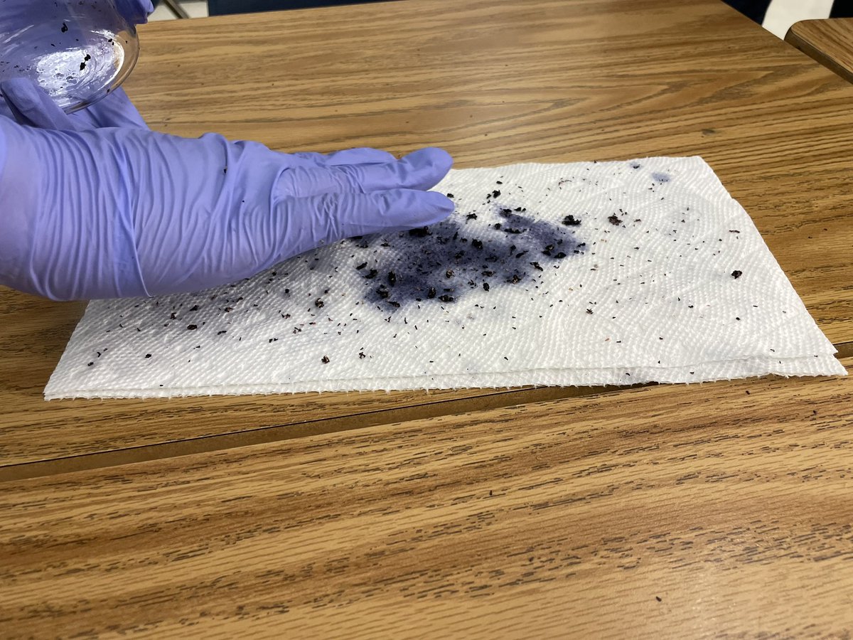 Andrew Kearns tweet media