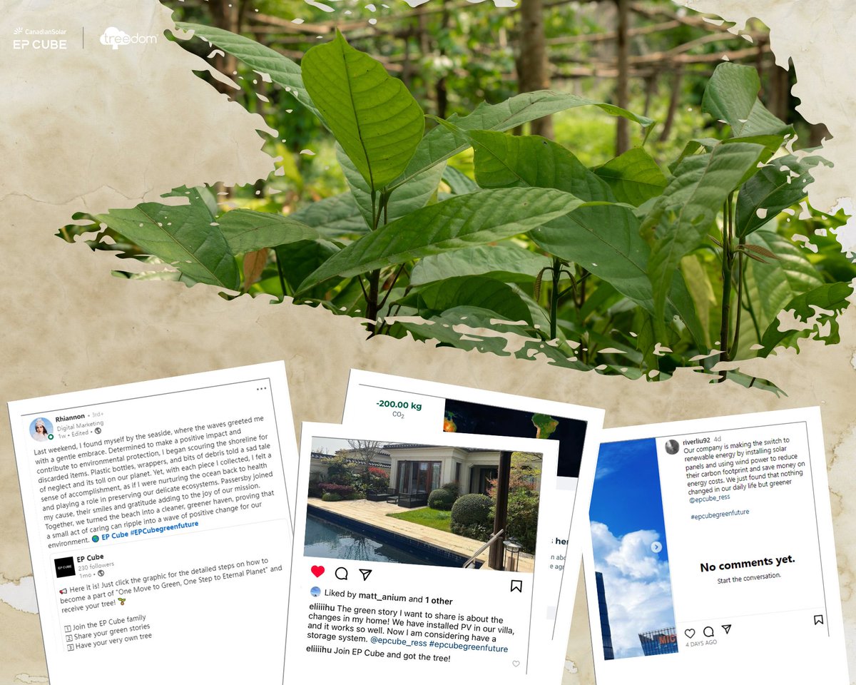 Our EP Cube &amp; #Treedom tree planting campaign is in full swing. We're excited to see so much active engagement from all over the world 🌿. Want to make a difference and get your very own tree? Visit here: reurl.cc/M8aram

#EPCube #Renewableenergy #Homebattery #Solarpower