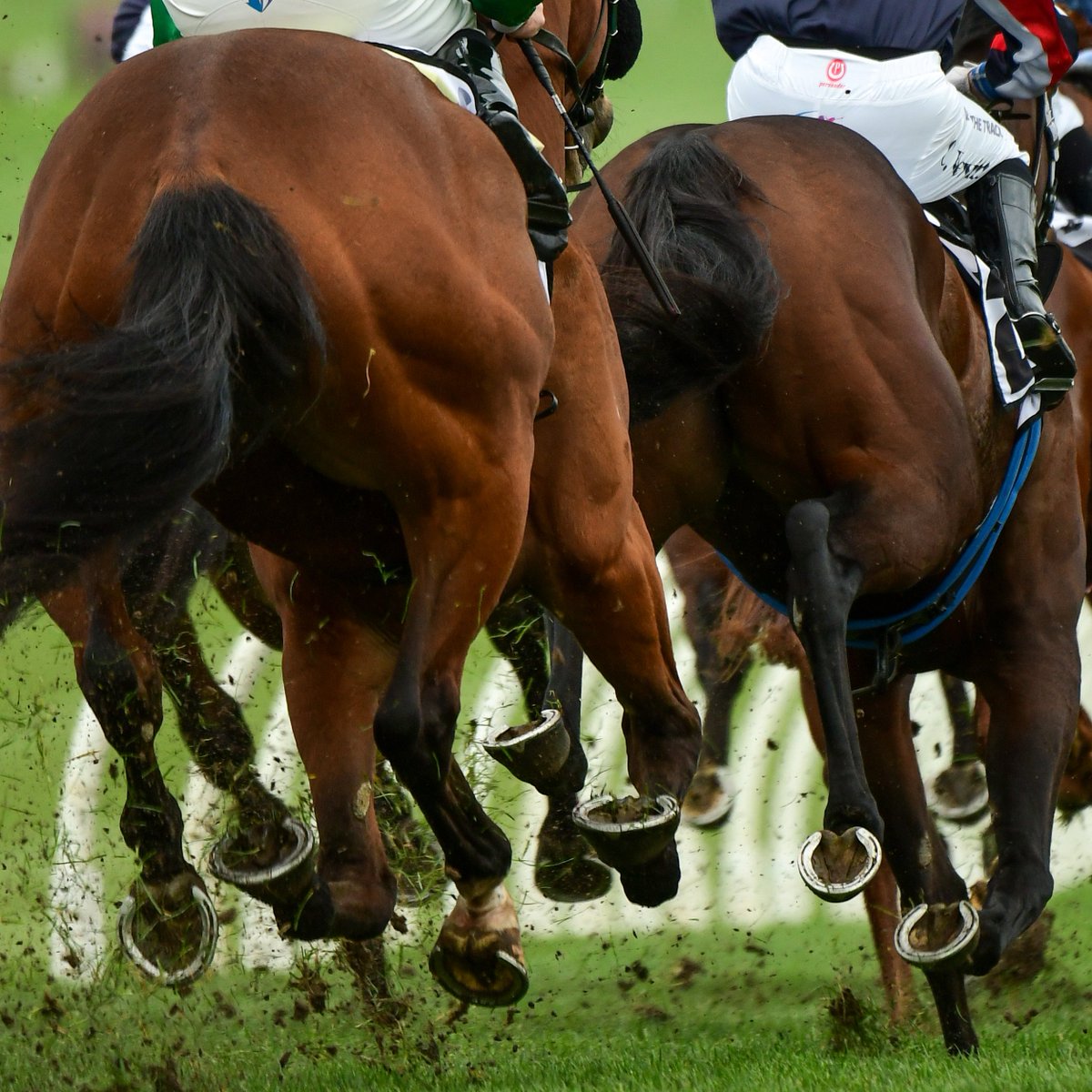 bet365_aus's tweet image. 🚨 Well-supported runners:

#Northam
R1. Cable Rock $151👉$23
R1. Twist Of Gold $31👉$10
R3. Simply $6👉$3.20
R4. Cut The Cord $7👉$3
R5. Sensessional $12👉$2.80

#Warwick
R4. Christmas Time $34👉$12

Markets ▶️ bit.ly/3GrzHgs.

Set a deposit limit.