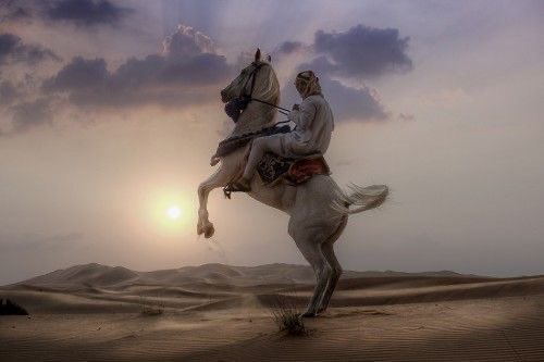 aladbo's tweet photo. ومَنْ كانَ أضْحَى بالدَّناءةِ راضيا
فإنِّي عَنِ الأمْرِ الدَّنِيءِ بِمَعْزَلِ
.
•أبو فراس الحمداني https://t.co/QTd8jCvx8W