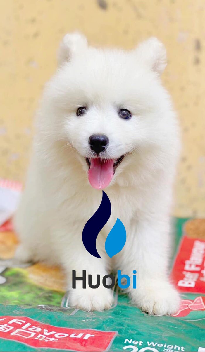 trieu hong tweet media