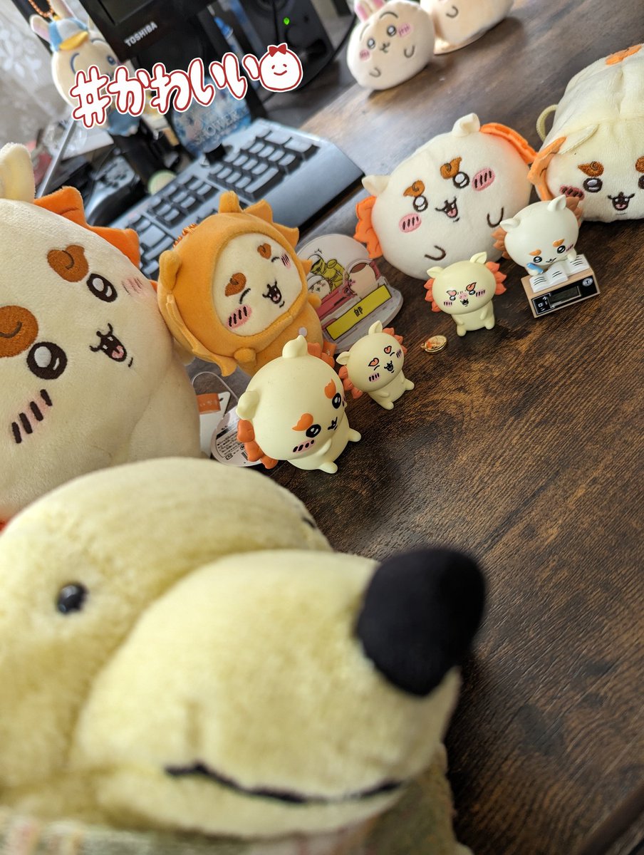 ぽち (@pochi_084_084) / Posts / X