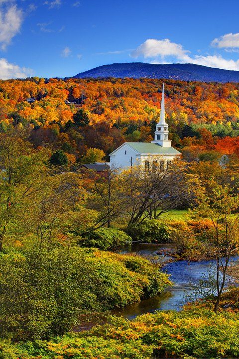 PRowlandPhD's tweet photo. The Surgery Certifying Examination Course LIVE Stowe, VT Sept. 22-24th. https://t.co/Yf8OOlo9XL Multiple practice sessions with experienced Surgeon &amp; PhD faculty. Focus on content and the science of professionalism! #SurgicalResidents Don’t settle for average Zoom skills! #MedEd https://t.co/jlpSaVgoeB