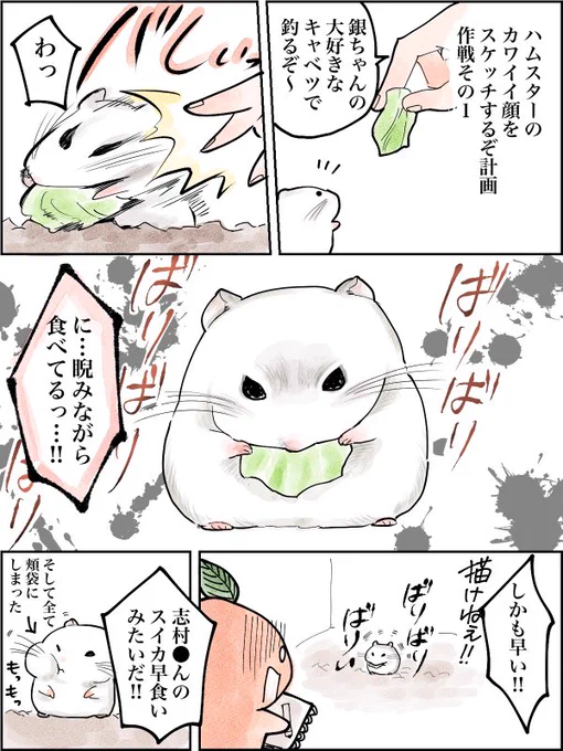 ハムスターを可愛く描くまでの道のり、その2
 #ハムスター  #漫画が読めるハッシュタグ 