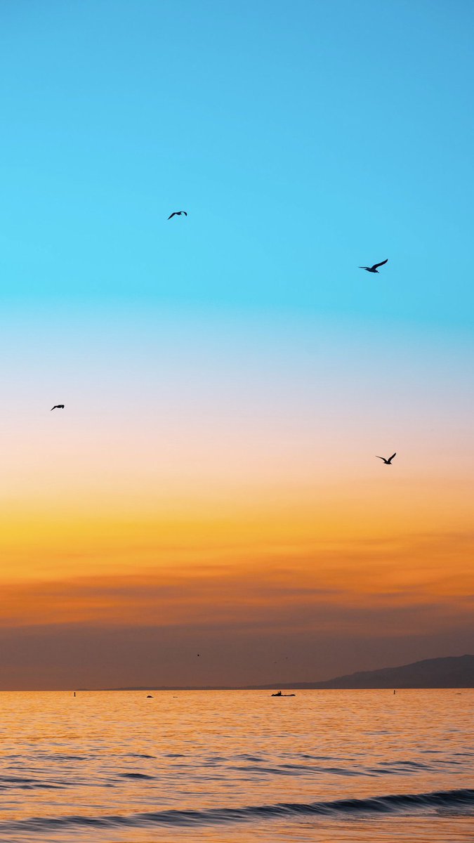 hilltorch's tweet photo. Growing up, my parents often reminded us of a saying “The skies are wide enough for birds to fly without colliding with each other”.

My takeaway:

• We can all be successful in what we set our hearts to do. 
• The success of one does not set a limit on the success of another. 
• Competition should be healthy. 
• Attitude is everything 
• The universe opens up to you when you celebrate others and do as much as you can to lift others up. 

#TheLoveWay #OthersMatter #Purpose #Wealth #Bloom 

Photo Credit @elfizconcept