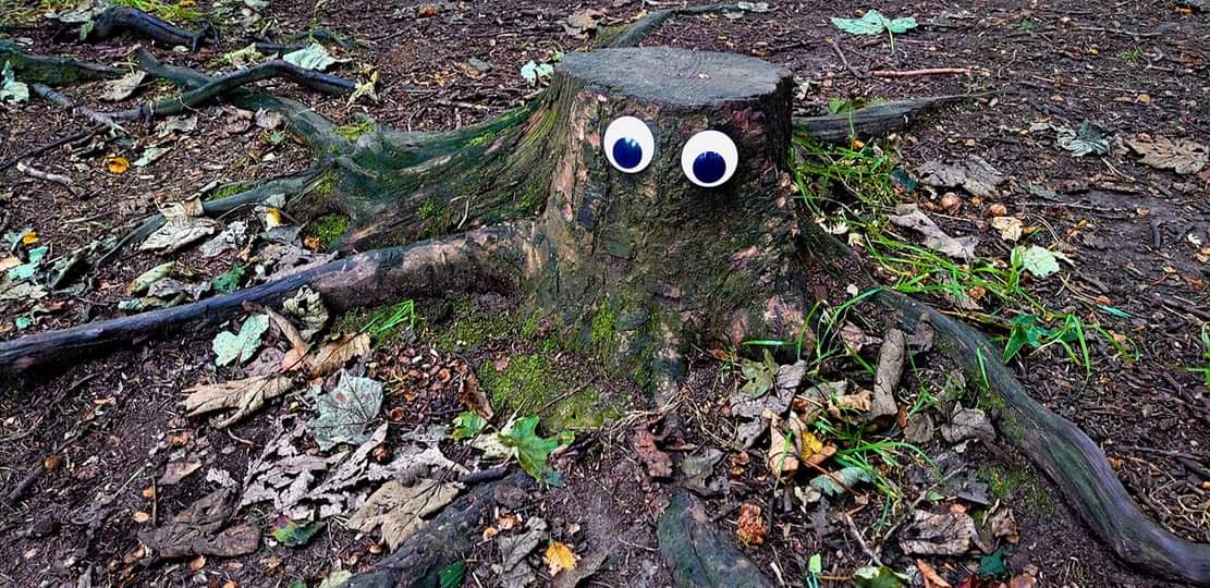 GooglyEyeNFT's tweet photo. Midweek face..... 🤣🤣

#googlyeyeschallenge #googlyeyes #googlyart #NFT #nftphotography #NFTCommunity #NFTMarketplace #EvolutionOfTheGoogly #artist #art #faces https://t.co/NmZ0ShWE2h