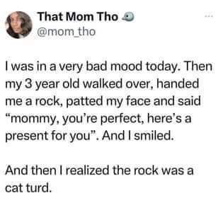 DaysofNoahGen6's tweet image. Lol!

#homesteadhumor #gardeninghumor