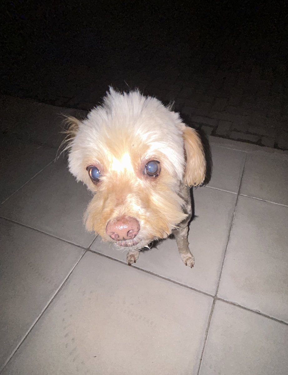 𝐦𝐚𝐝𝐞 tweet media