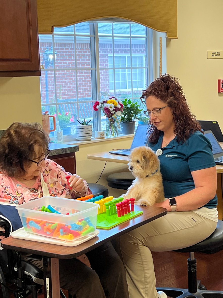 Say hello to our newest member of the therapy team - Jetson 🐾 👋 

He has been bringing only paw-sitive vibes to the campus. Pup-tacular. 10/10, would recommend.

#trilogyhealth #trilogyliving #synchronyrehab
