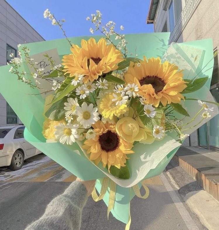 sunflowerchives's tweet photo. Feeling sunflower joy https://t.co/y3n1Ag06V7