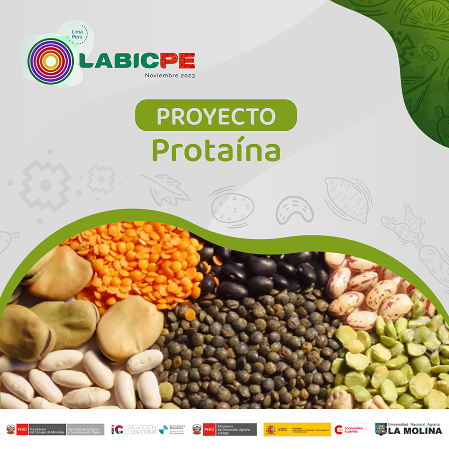 midagriperu's tweet photo. 💪🏼 Forma parte del #LABICPE y participa de este proceso integrador de innovación pública.

Súmate al proyecto “Protaína” y promueve la circularidad de legumbres para mejorar la calidad nutricional infantil 💪🏻.

Postula tu perfil 👉 https://t.co/mSeLm1COBk https://t.co/ZuSY1WJrOe