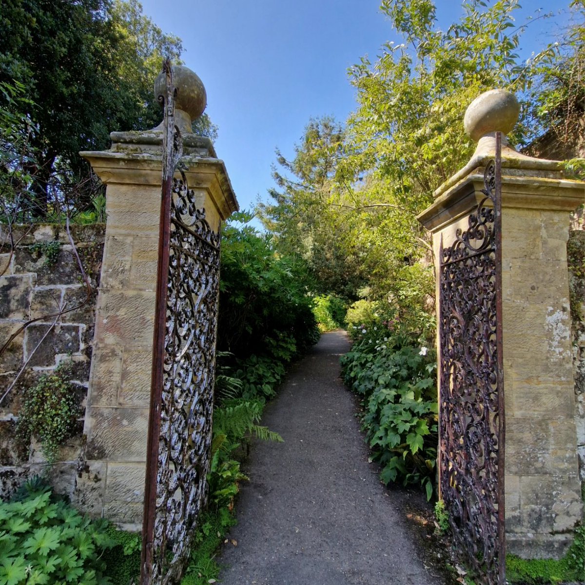 Victoria White tweet media