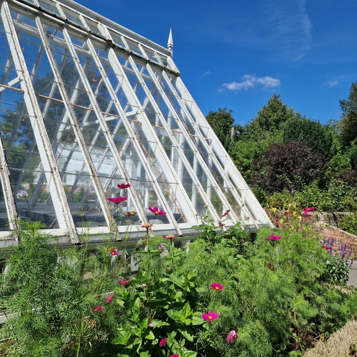 Victoria White tweet media