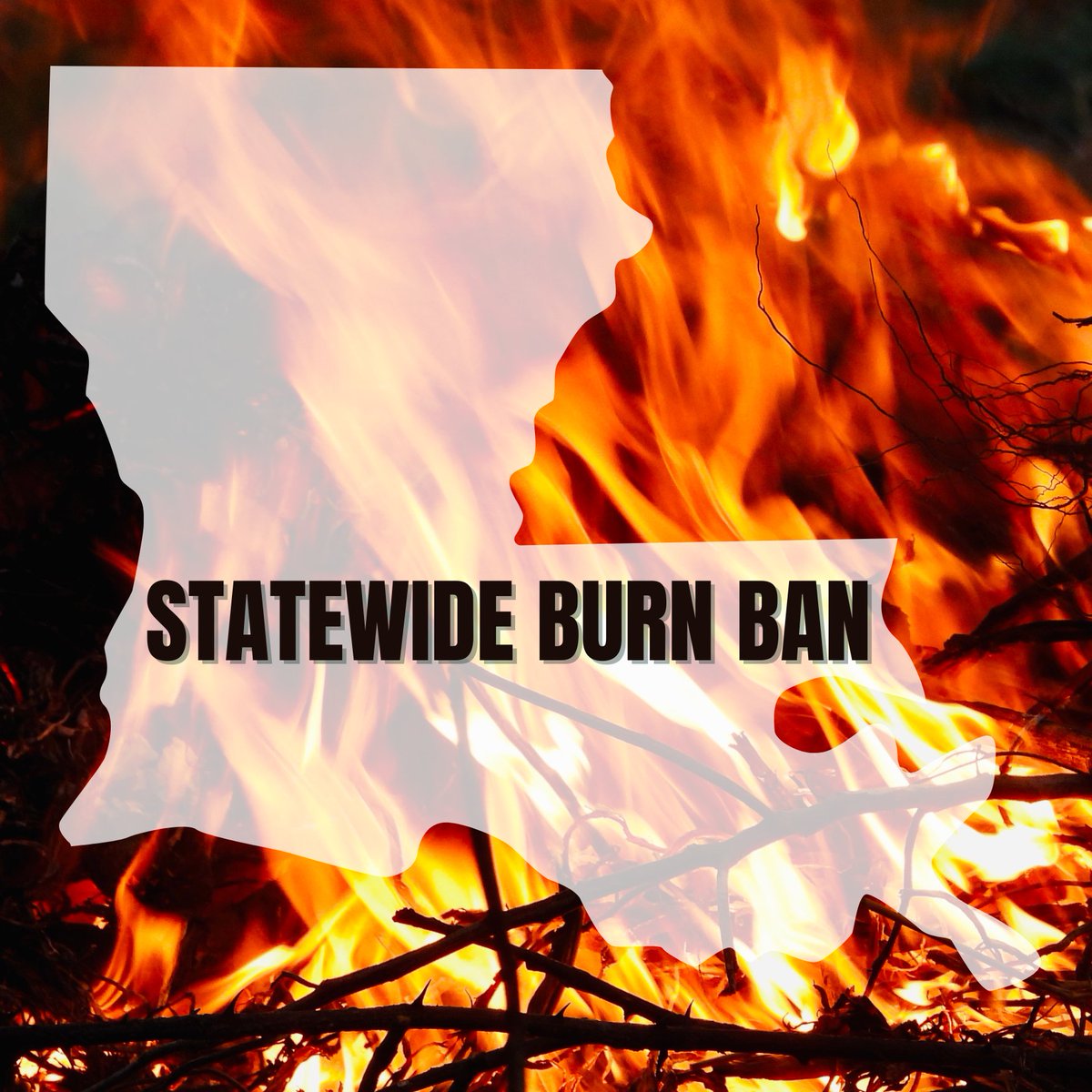 Louisiana State Parks tweet media