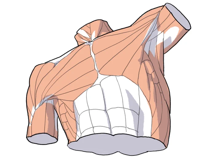 なにかトリミングが気に入らなかったボツ集。 