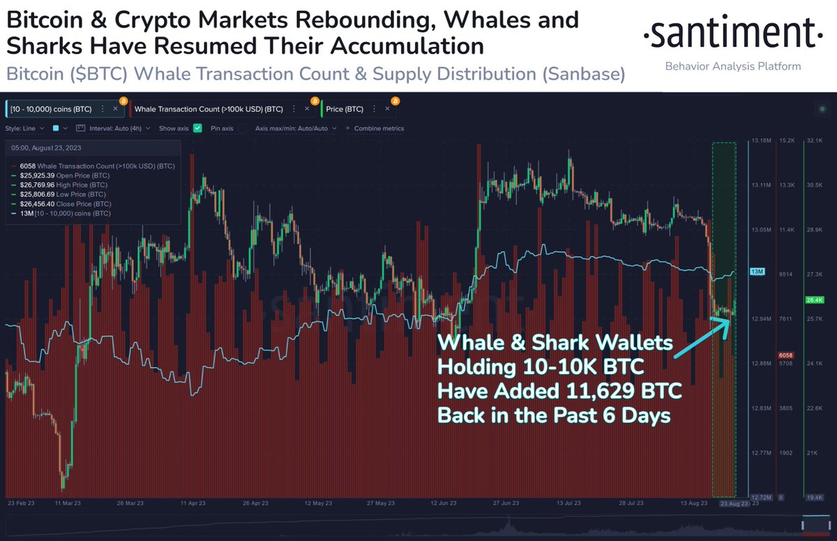 🐳🦈 #Bitcoin jumped back as high as $26.8K Wednesday as key whale & shark  addresses are now collectively adding to their stacks once again. There are  currently 156,660 wallets holding 10 to