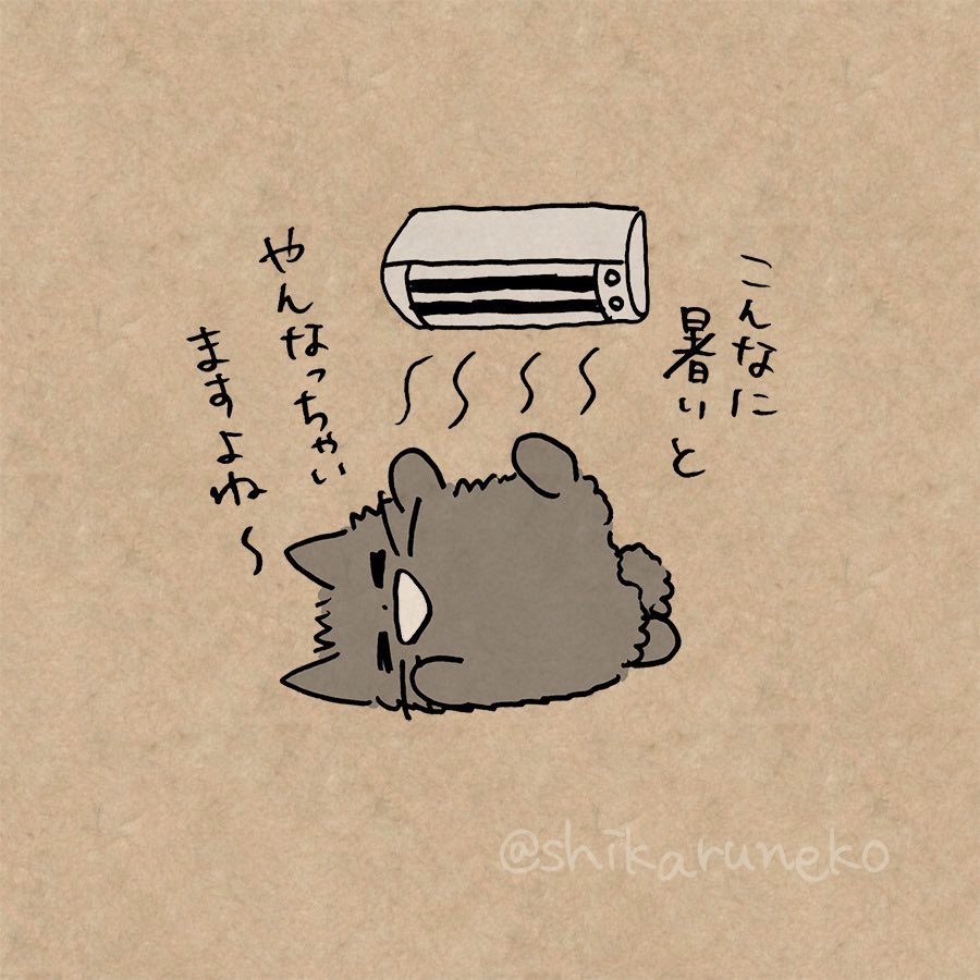 暑い日のあまやかすねこ