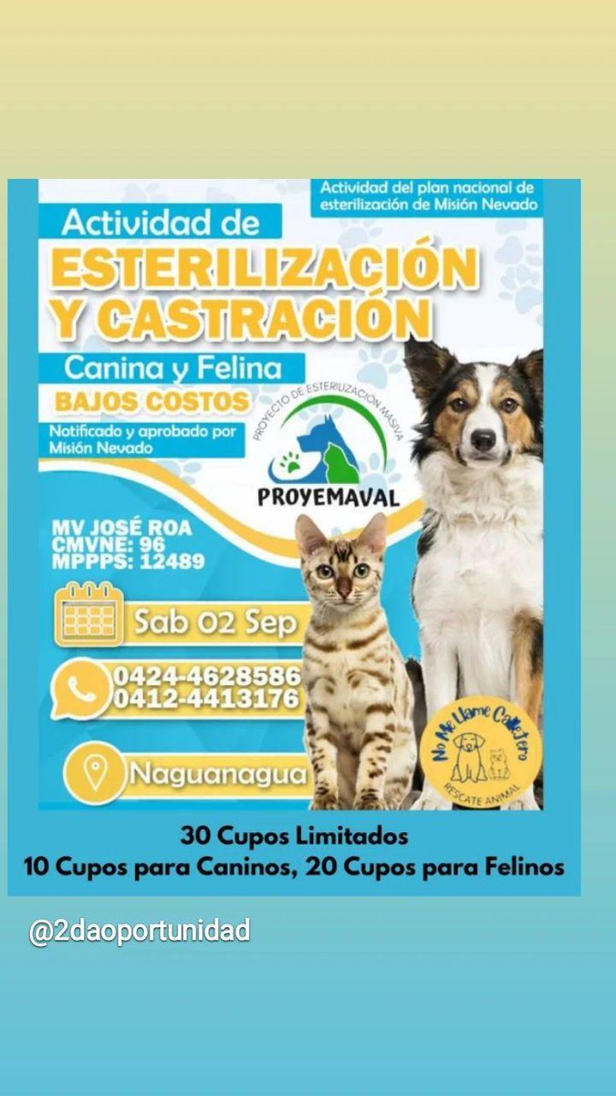 KendraMorin7's tweet photo. Jornadas de Esterilización en varias zonas de Carabobo...en cada post está número de contacto para informacíon https://t.co/8qVYeKNYxP