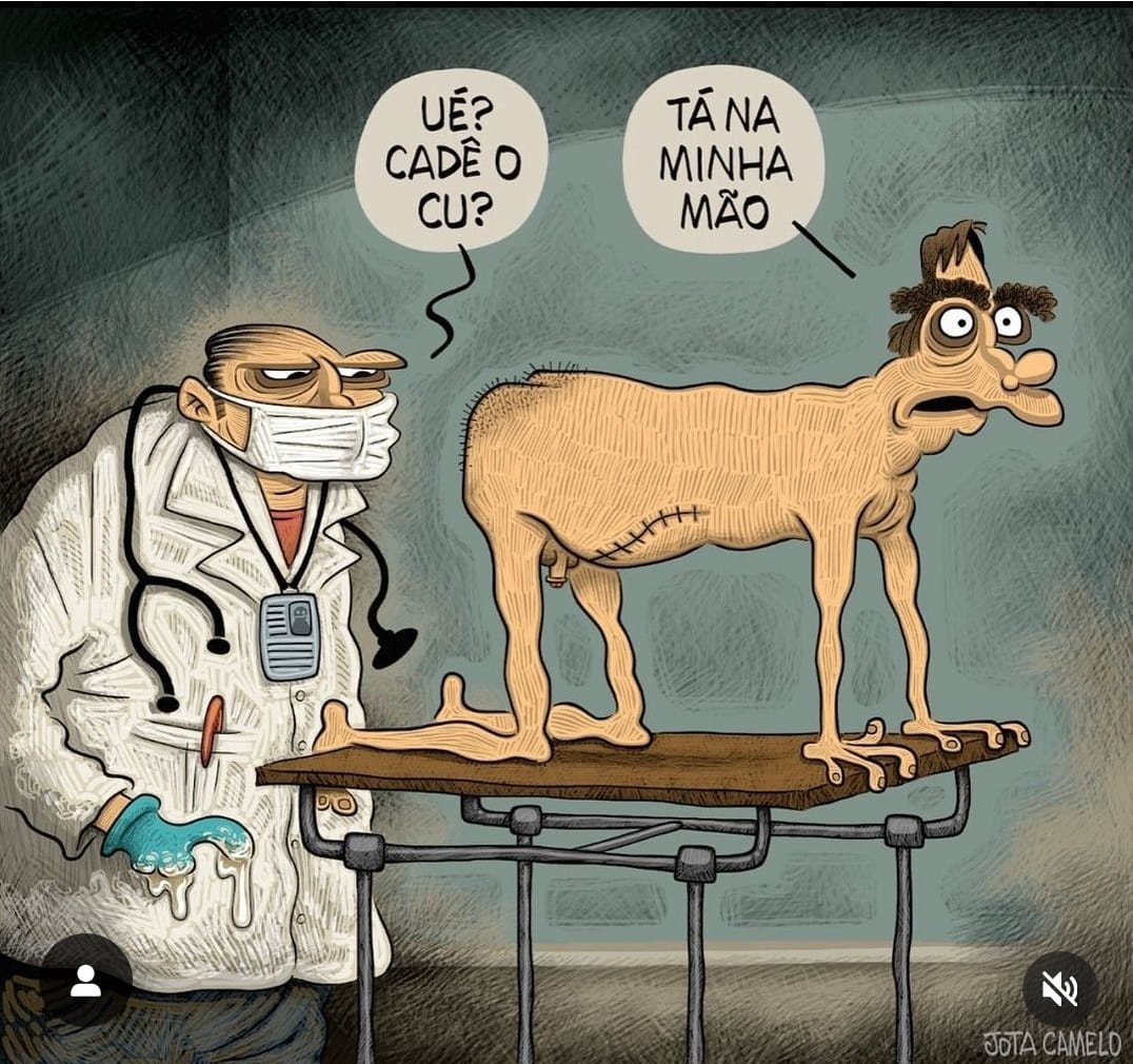 Lia De Sousa (@liadesousa1) on Twitter photo 