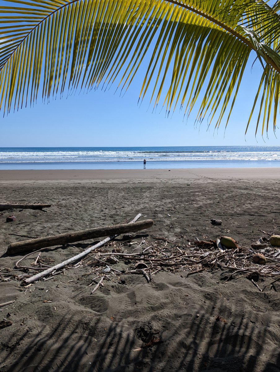 Our annual pilgrimage to Costa Rica is booked :) Roll on January