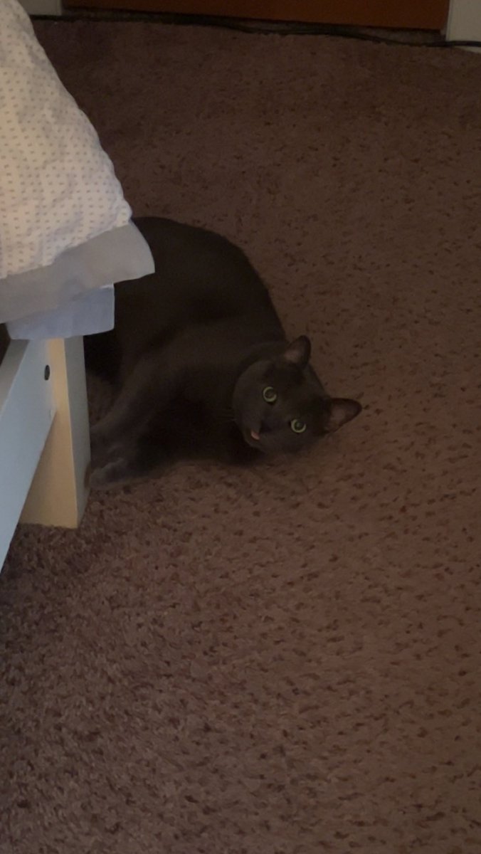 Ms. Reed tweet media