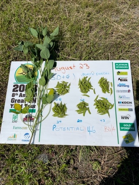 Eastern Ontario Crop Tour Aug  23 Soy - 3 farms SD&amp;G counties #onyield23 #GreenfieldGlobal
See you tomorrow