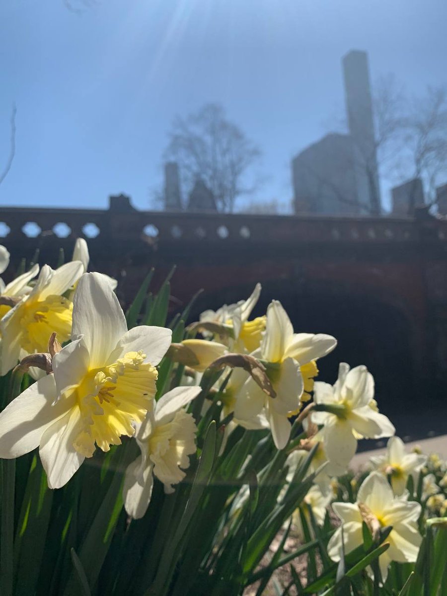 esbcconsulting's tweet image. It&apos;s not our abilities, but our choices that determine who we become.