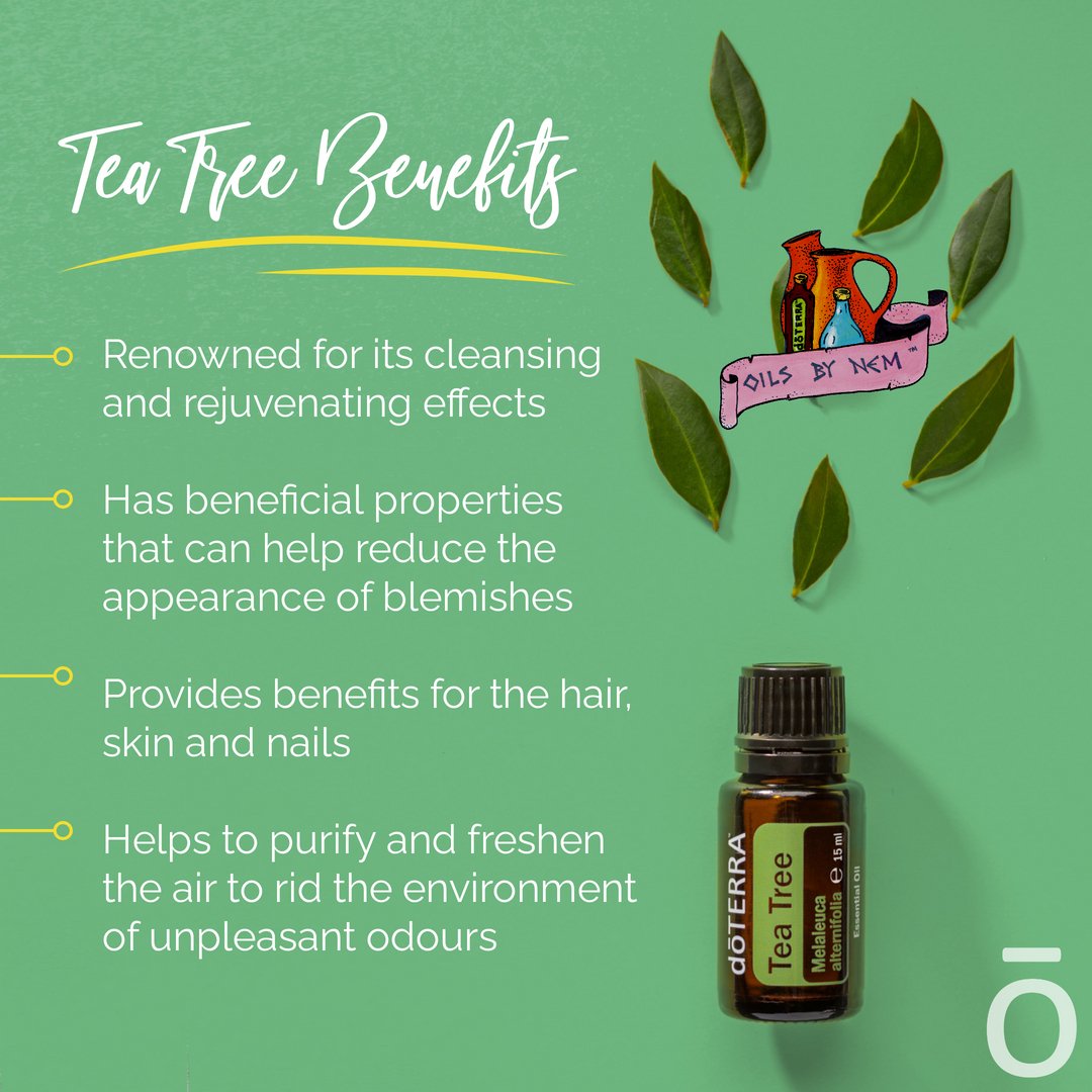 HadassaNem's tweet photo. Tea Tree is this month's POM! This oil is known for its purifying properties. I love to use it to cleanse and purify my skin and nails to support a healthy complexion - https://t.co/0tHLT90vbG - #OilsByNem #cptg #Wellness #EssentialOils #Oils4Life #TeaTreeEssentialOil #OilUp~! https://t.co/OCSJP2XniV