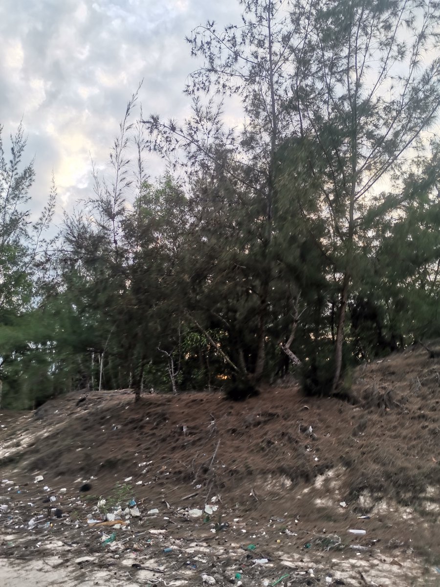 quan bui ❤️ Memecoin (@quanbui81263999) on Twitter photo 