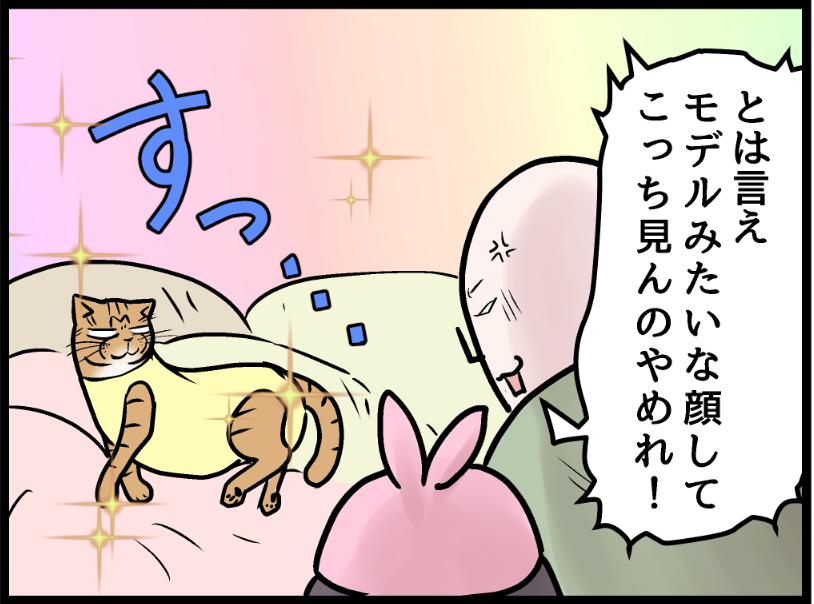ミュウくんはどんどん輝くのか!? covovoy.blog.jpからまだ未公開の最新話を読むことができます!    #ニャンコ #まんが #猫 #猫あるある #猫漫画 #ペット #飼い主 #エッセイ漫画 #キャット #猫のいる暮らし