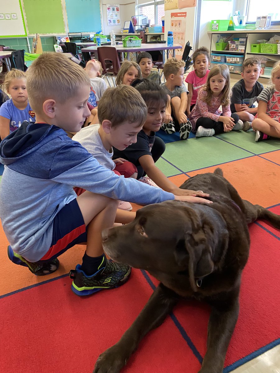 MissDalyNES's tweet photo. @MrsCableNES did a mini lesson all about Brodey and how we have to ask “May I please pet Brodey” since he is working when at @NESPolarBears 💜 #becomebelongbenorthern https://t.co/r7e5ToO3La