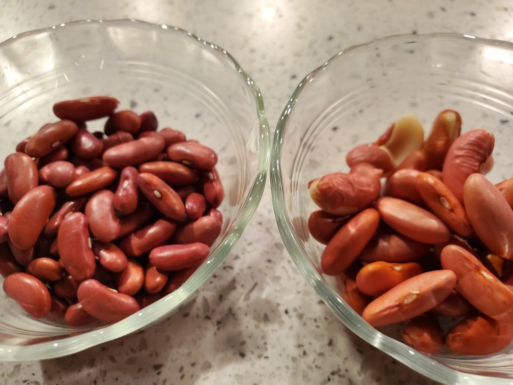 ChefKevinBelton's tweet image. I am behind y’all. I am finally posting my beans  from Monday. Not soaked on the left and soaked on the right. Can you believe the difference😳 #cheflife #redbeans #nola #nolafood #cookinwithchefkevin