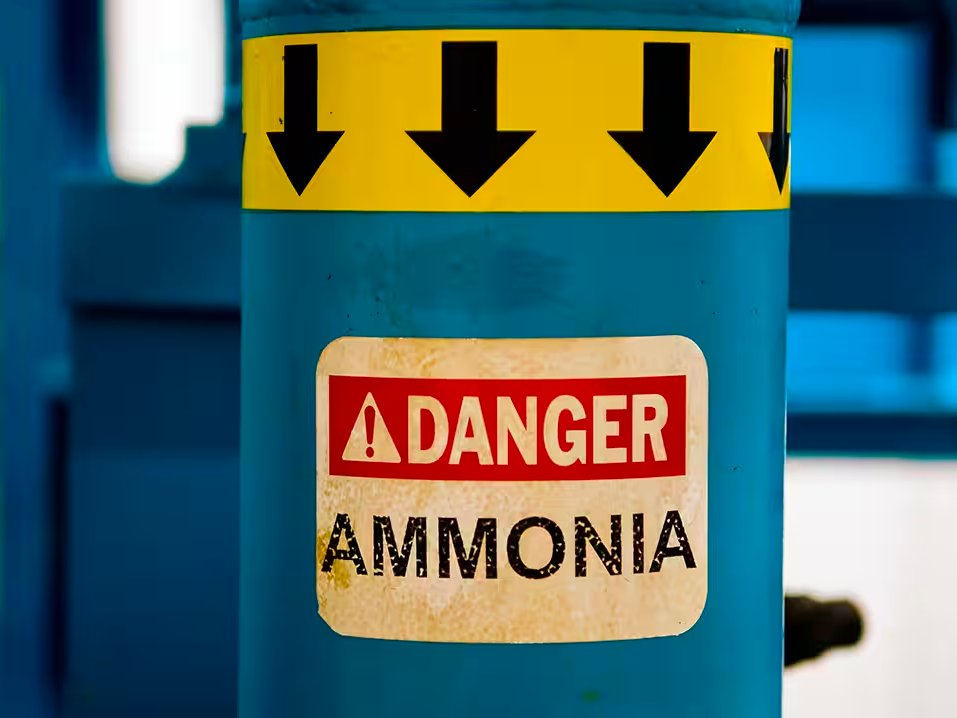 As part of my #ClinicianEducatorTrack @BIDMC_IM I'm testing out my tweetorial skills! 1/ I’ve been told time and time again, there is no need to check an ammonia level in a patient with hepatic encephalopathy (HE), but I’ve always wondered why not? Let’s think about it!