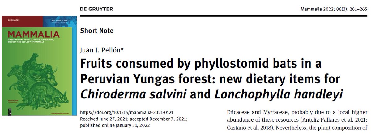 Juan J. Pellón 🦇 tweet media