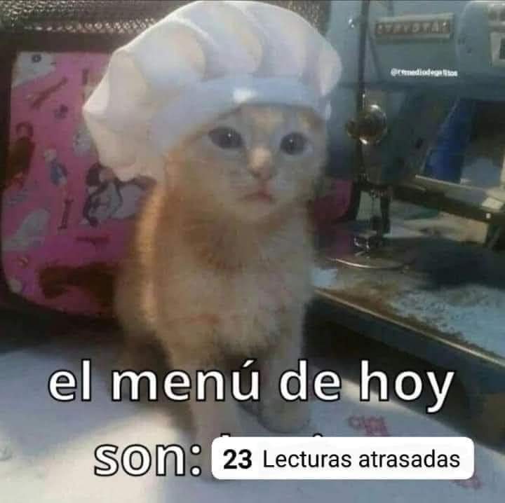 nacional_memes's tweet photo. 🐨 https://t.co/uv5SOXcZi2