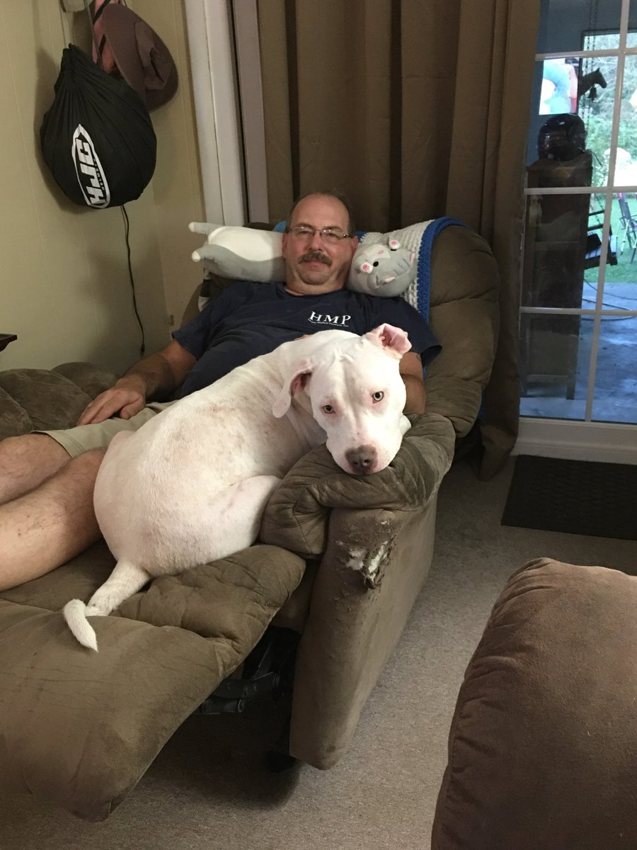 kerriebear1102's tweet photo. Y’all, my dad has been wanting a pit bull for a few years now and look at him and his “foster” 🥺 they’re bestfriends https://t.co/lJNSJ5xfSH