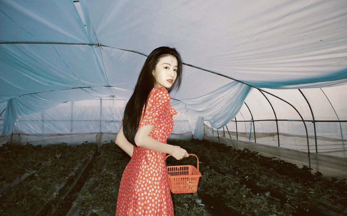 jeanaalice_chu's tweet photo. Pick strawberries 🍓
#WangChuran #王楚然 #chineseactor #chineseactress #photoshoot #beauty
#model #chinese #cdrama #HaveaCrushonYou #thelongestpromise #royalfeast #challengesatmidlife #fireworksofmyheart https://t.co/pxCvENPU4j