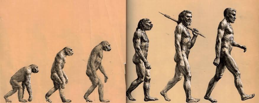 A teoria da evolução é uma das mais importantes e revolucionárias teorias científicas já propostas. Ela foi formulada por Charles Darwin no século XIX e desde então tem sido amplamente aceita e corroborada por evidências científicas.

A teoria da evolução postula que todas as